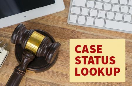 Case Status Lookup
