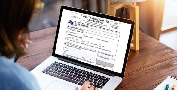 Tools and Resources special terminal report for abandoned plans instructions thumbnail