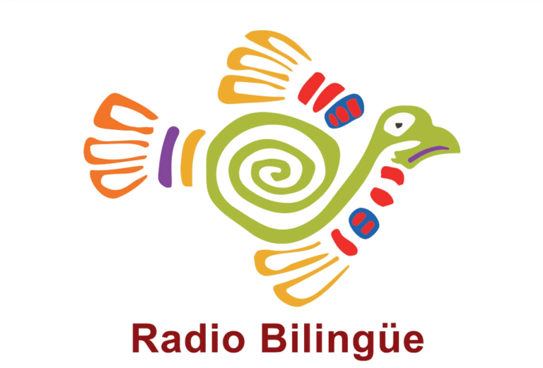 radio logo