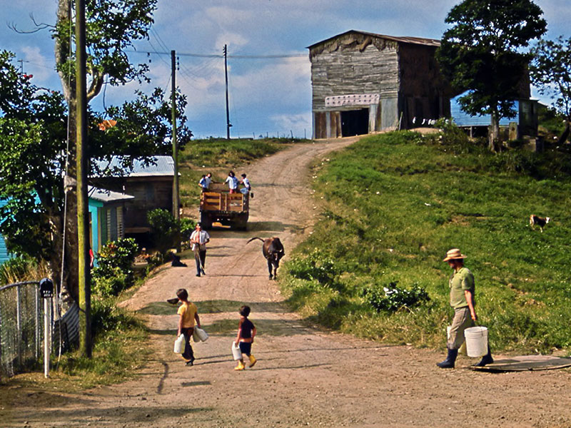 Workers on a farm in Puerto Rico carrying buckets and jugs.
