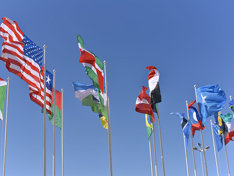 Flags from different countries waving in the wind