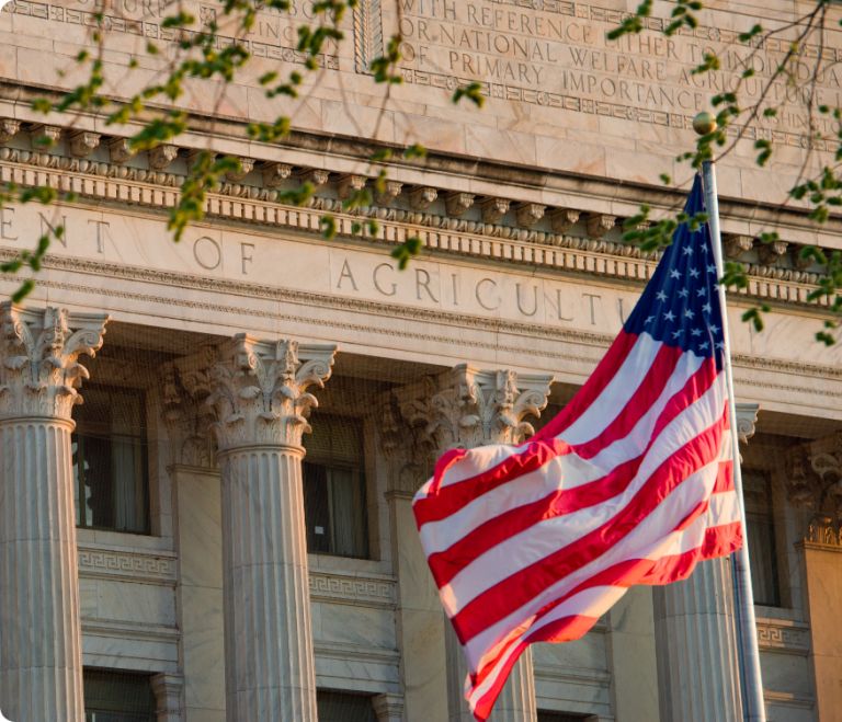 Flag flying in front of a building.