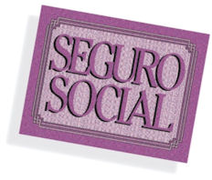 Gráfica con la palabra seguro social.