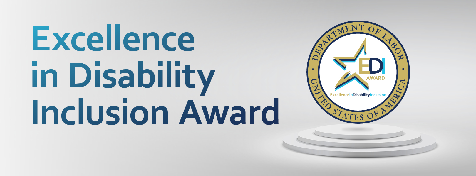 Excellence in Disability Inclusion Award