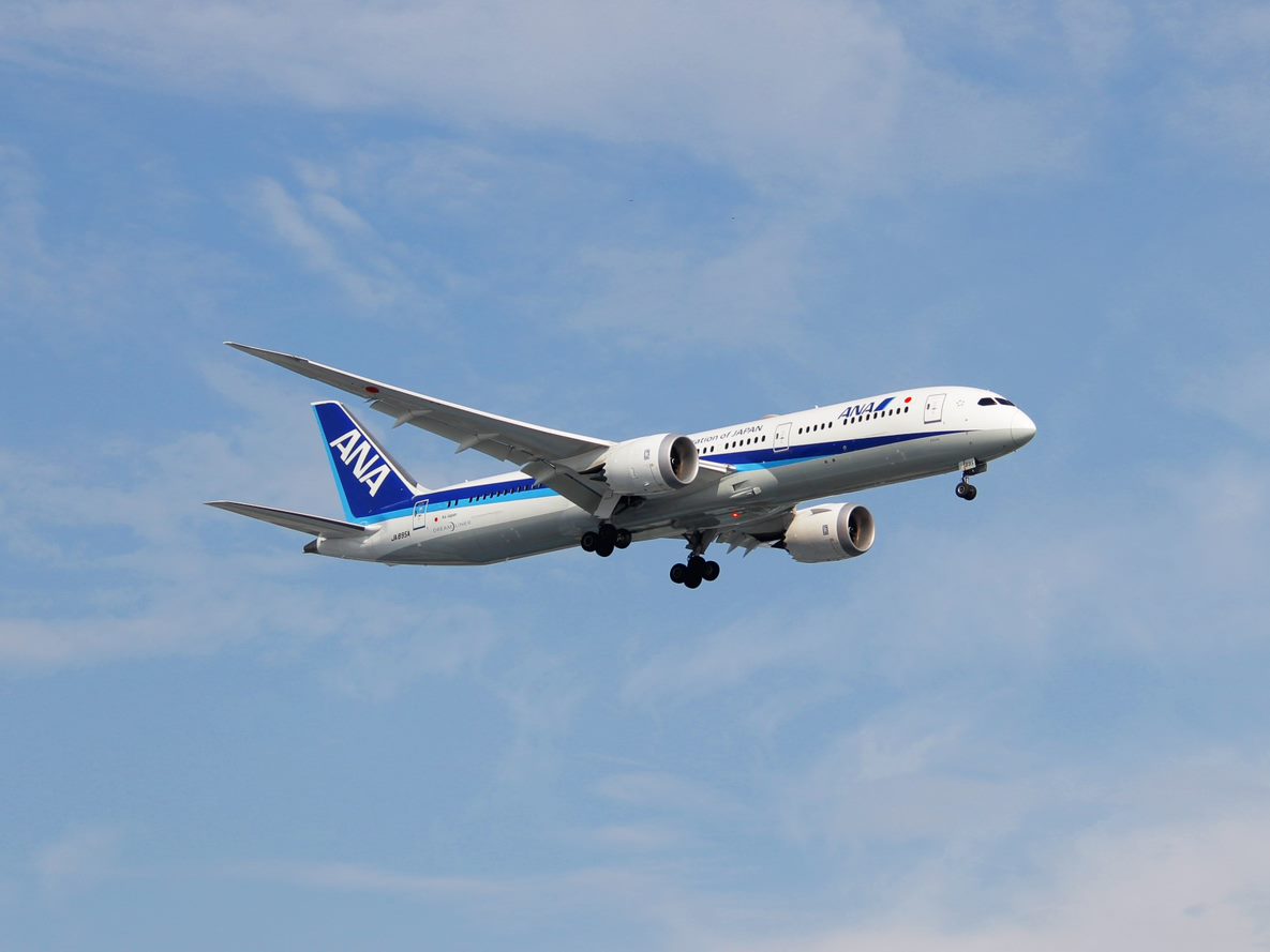 ANA Group Plane flies over a blue sky