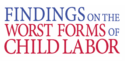 findings on the worst forms of child labor