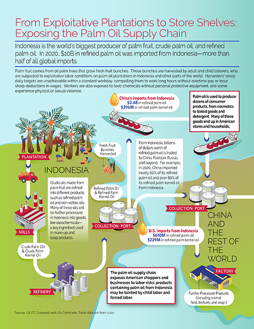 Palm oil supply chain infographic