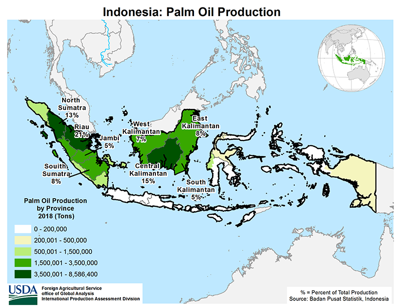 A map of Indonesia, marking regions that produces palm oil. The largest concentrations are found in Sumatra and Kalimantan.
