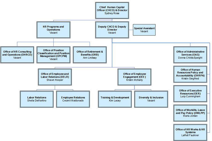 Employee Organizational Chart