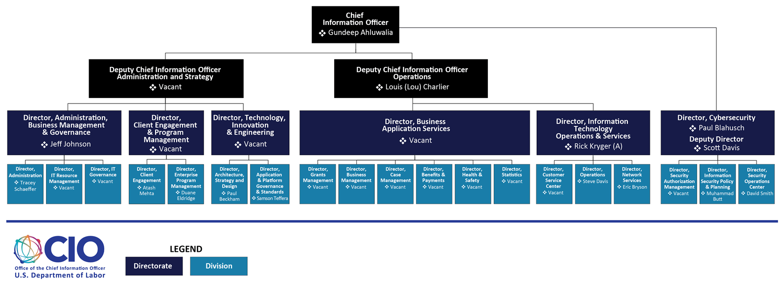 Cio Organization Chart