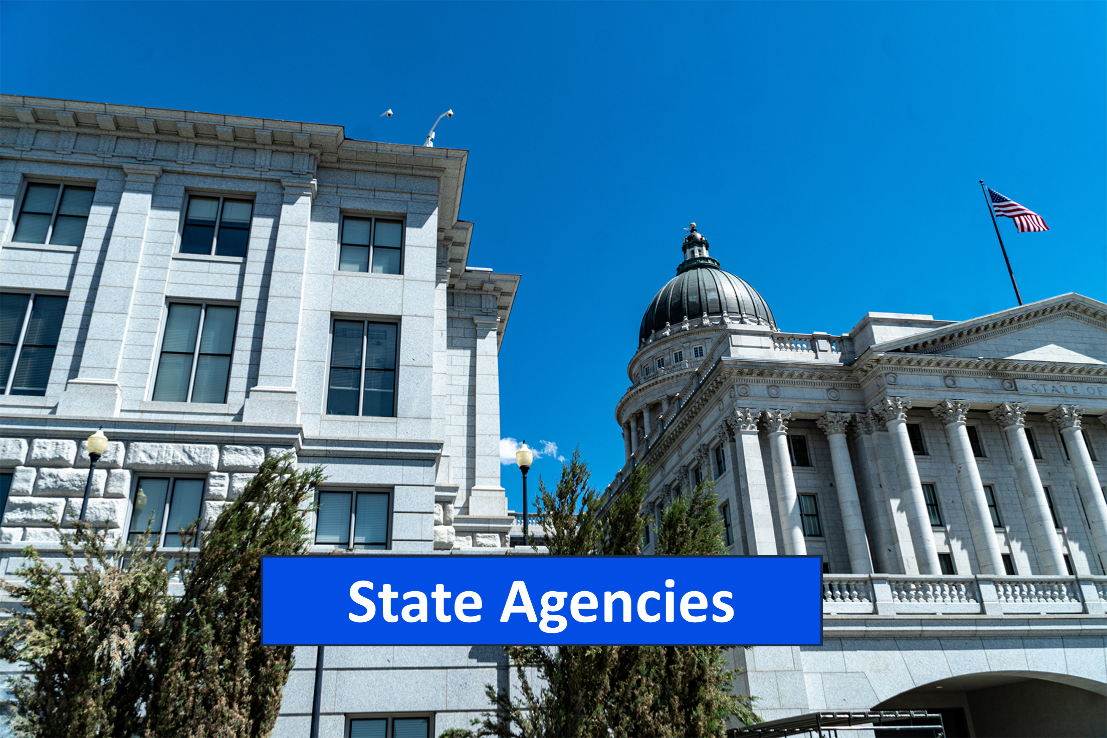 State Agencies