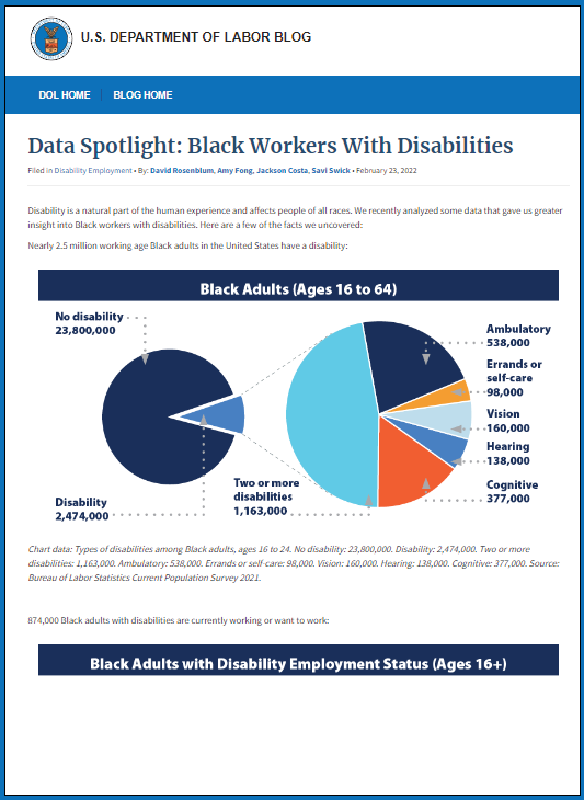 Screenshot of the Black Workers with Disabilities data blog for decorative purposes.