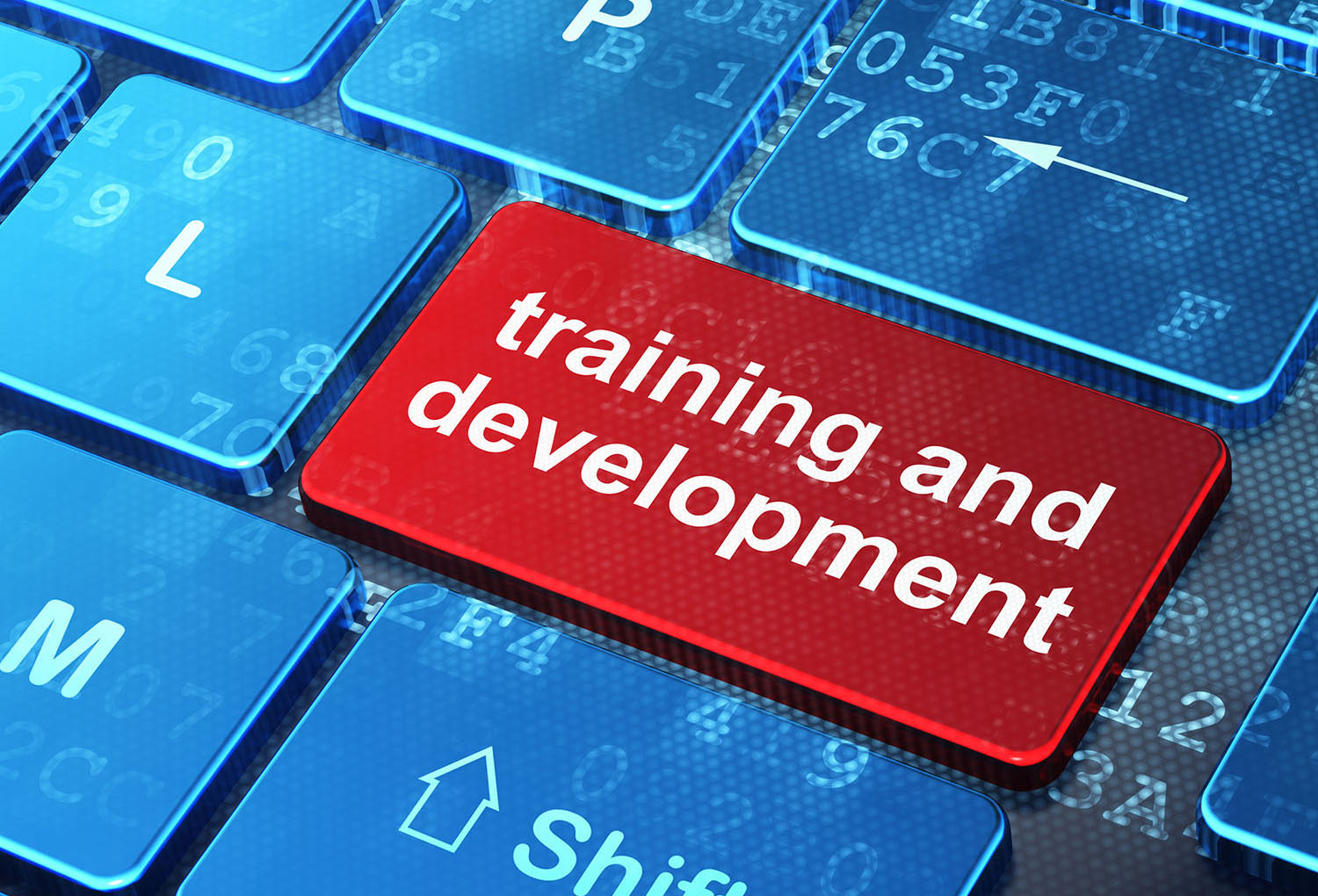 training and development text on keyboard