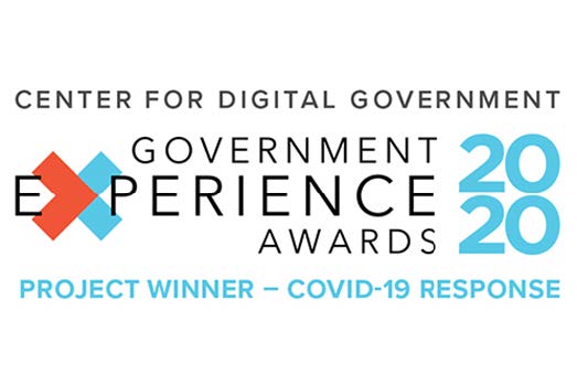 Government Experience Awards 2020