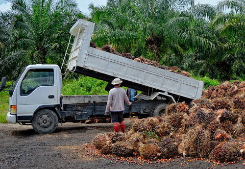 Link to How Our Updated Action Plan Combats Human Trafficking blog post