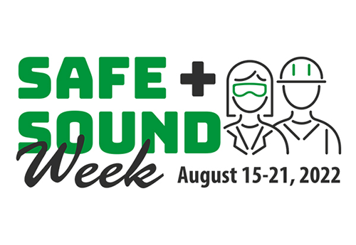 Link to Safe and Sound Week blog post