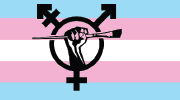 A trans pride flag. Above it is a symbol of a raised hand holding a paintbrush.