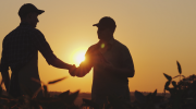 Silhouette of farmworkers shaking hands in a field as the sun rises behind them.