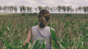 A young woman, seen from behind, stands in a cornfield. Photo by Gonzalo Facello on Unsplash