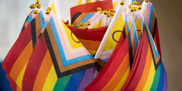 A collection of Progress Pride flags bearing the colors of the rainbow; white, pink and blue stripes to represent trans people; black and brown stripes to represent marginalized communities of color; and an intersex circle