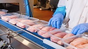 A conveyer belt has multiple plastic containers with raw chicken cutlets inside. A staff member is overlooking the chicken as it moves down the assembly line.