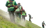 A team of landscapers cuts grass on a hill.