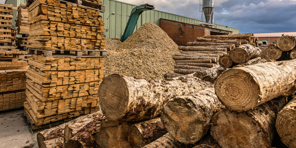 Piles of logs, wood planks and woodchips outside of a sawmill.