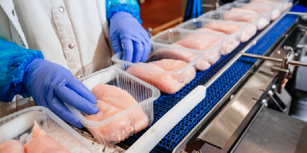 A food processing worker wearing protective gloves handles raw chicken on a conveyor belt. 