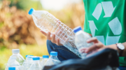 A person wearing a green tee-shirt with a recycling symbol on it sorts plastic bottles into a bin. 