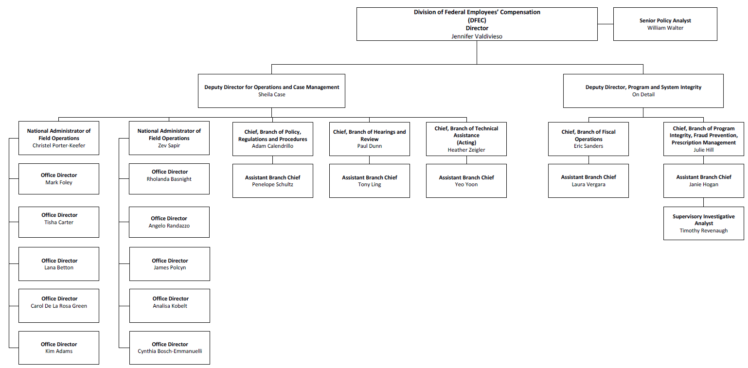 DFEC Organizational Chart