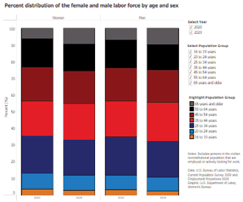 Percent distribution of the labor force by age and sex
