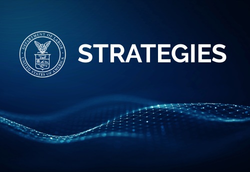 SI Strategies