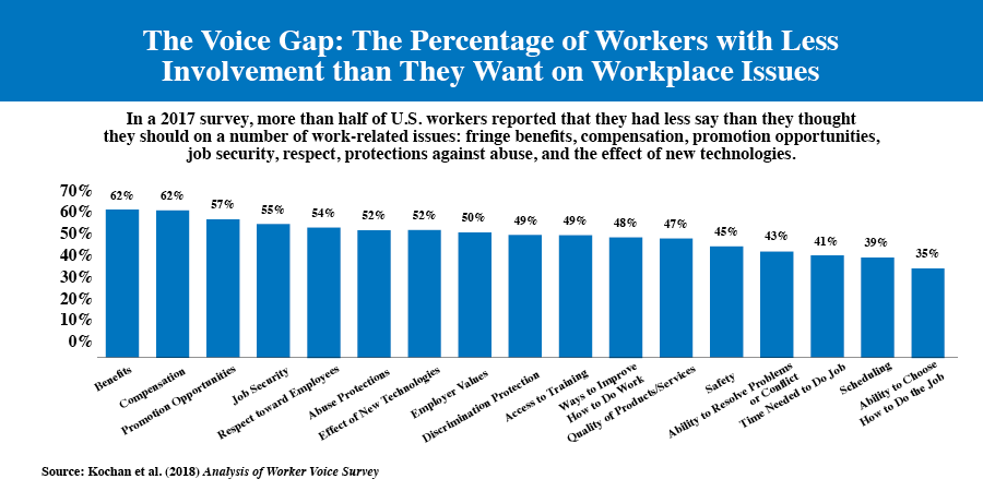 FIGURE 6 - The Voice Gap: The Percentage of Workers with Less Involvement than They Want on Workplace Issues