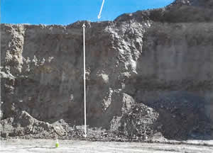 The top arrow indicates where the miner was standing without proper fall protection in relation to the 50-foot highwall drop. 