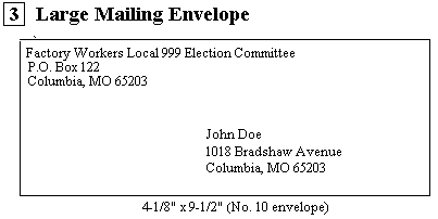 Large Mailing Envelope