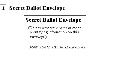 Secret Ballot Envelope