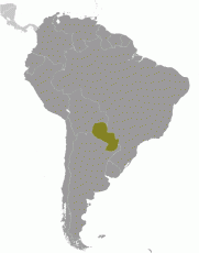 Paraguay